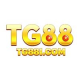 tg88icomm