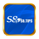 s8tips1