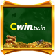 cwintvin1