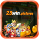 23winpictures