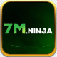 7mninja1