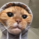 Avatar of cathood