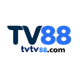 TV TV88