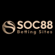 soc88_win