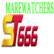 ST666
