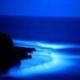 bluecyprus