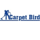carpetbi23
