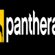 Panthera Store