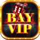 bayvipconggam