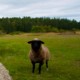 Landscraper