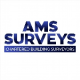 amssurveys14