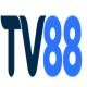 tv88global1