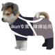 Avatar of liuzhentao