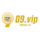 09vip