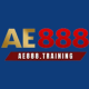 ae888training1