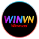 WINVN