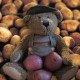 Planting Potatoes