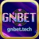Gnbettech1