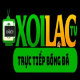 Xoilactv cab