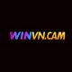 winvncam1