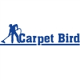 carpetbird17