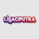 ligaciputraad2