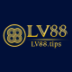 Primary Photo for Lv88 Tips