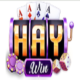 HAYWIN