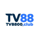 TV88