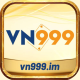 vn999im1