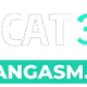 cat368