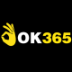 ok365tech