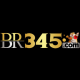 br345betorg1