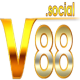 V88