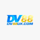 Dv88