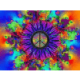 psyalex