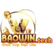 BAOWIN tech