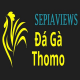 Đá Gà Trực Tiếp