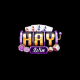 haywin1autos