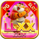 llxxnetbr1