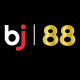 bj88zbiz1