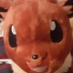 MegaEeveeLution