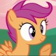 NandoBrony