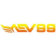 AEV99