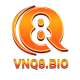 vnq8_casino
