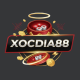 xocdia88nycc
