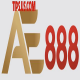 ae888tipus