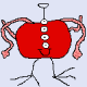 eggbutegg