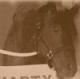 SmartyJones