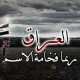 امير الفتلاوي1